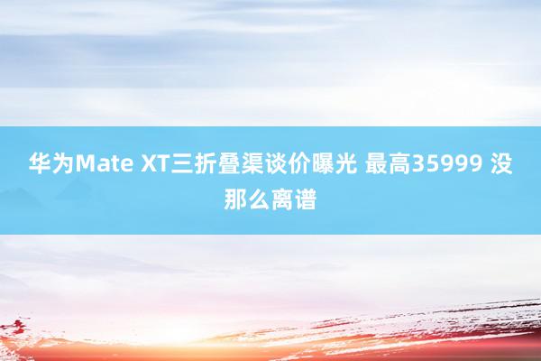 华为Mate XT三折叠渠谈价曝光 最高35999 没那么离谱